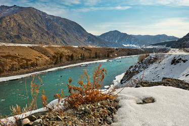 Similar image 21697552