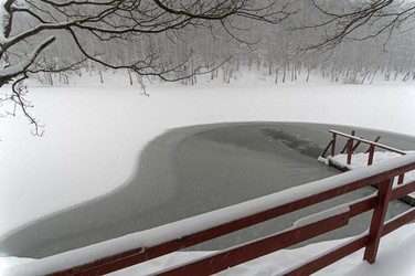 Similar image 21697523