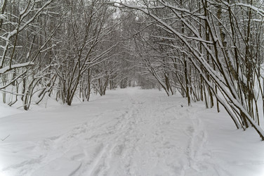 Similar image 21697524