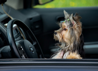 Similar image 21697557