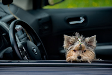 Similar image 21697663