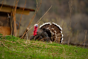 Similar image 21697671