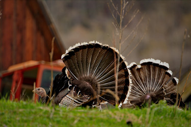 Similar image 21697672