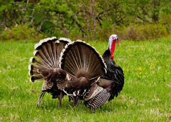 Similar image 21697673