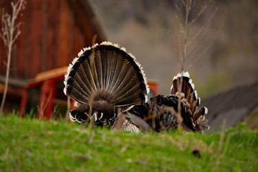 Similar image 21697674