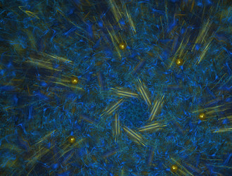 Similar image 21700367