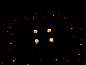 Similar image 21700392