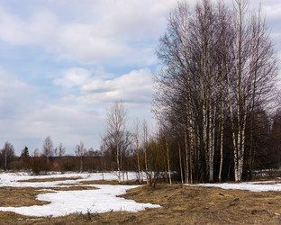 Similar image 21697526