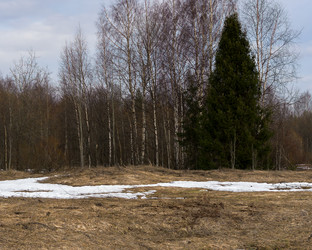 Similar image 21697527