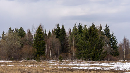 Similar image 21697529