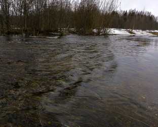 Similar image 21697532