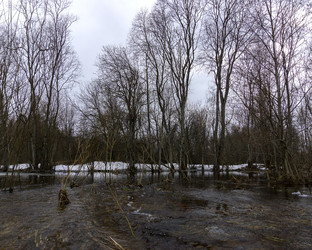 Similar image 21697533