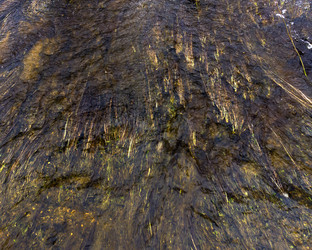 Similar image 21697535