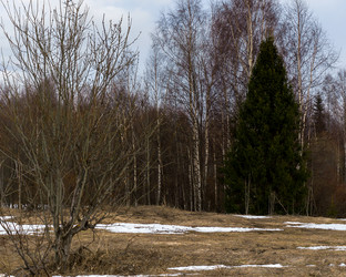 Similar image 21697536