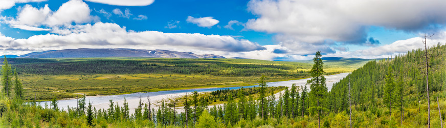 Similar image 21701982