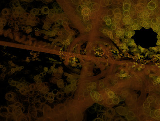 Similar image 21700181