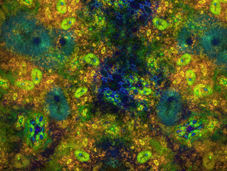 Similar image 21700416