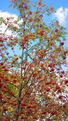 Similar image 21698882