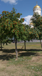 Similar image 21698886