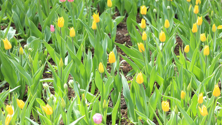 Similar image 21698896