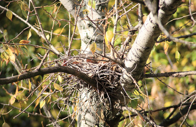 Similar image 21698897