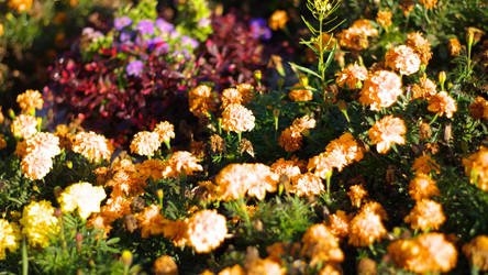 Similar image 21698899