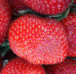 Similar image 21698903