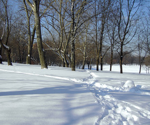 Similar image 21698904