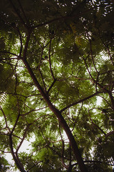 Similar image 21699915