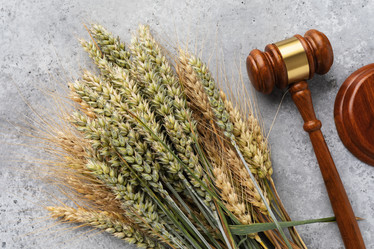 Similar image 21699870