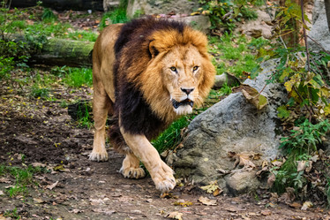 Similar image 21699394