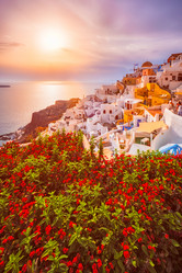 Similar image 21699486