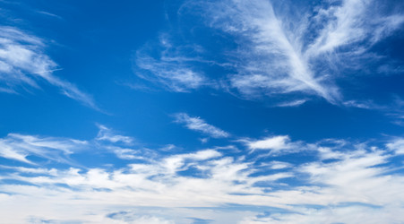 Similar image 21699488