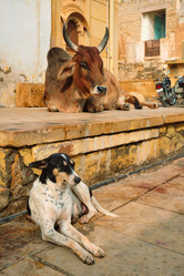 Similar image 21699626