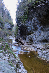 Similar image 21699011