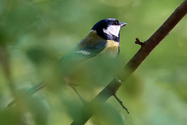 Similar image 21699014