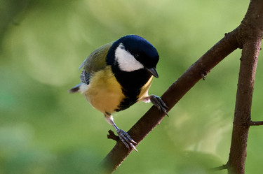 Similar image 21699020