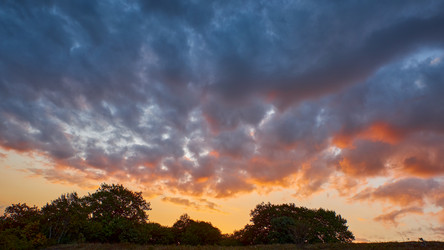 Similar image 21699022