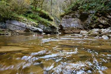 Similar image 21699023