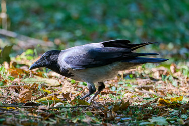 Similar image 21699026