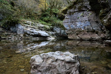 Similar image 21699027