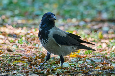 Similar image 21699028