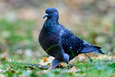 Similar image 21699043