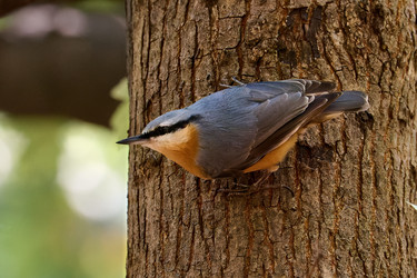 Similar image 21699044