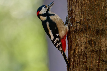 Similar image 21699046