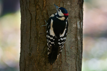 Similar image 21699047