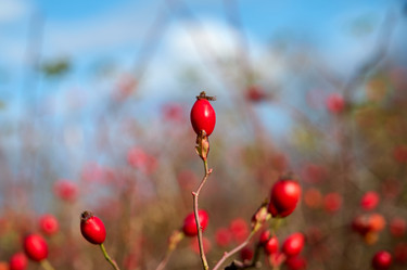 Similar image 21699049