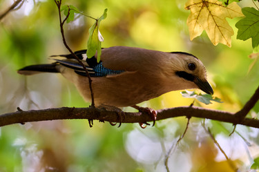 Similar image 21698964