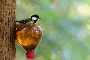 Similar image 21698966