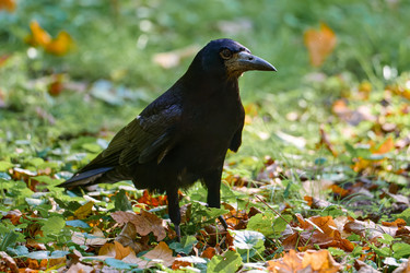 Similar image 21698967